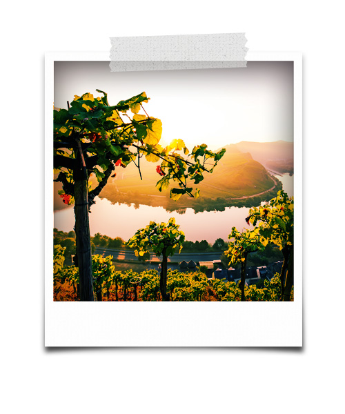 polaroid_rhein_sued1 Rhein