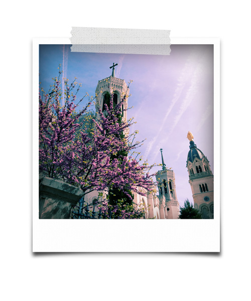 polaroid_rhone Lyon