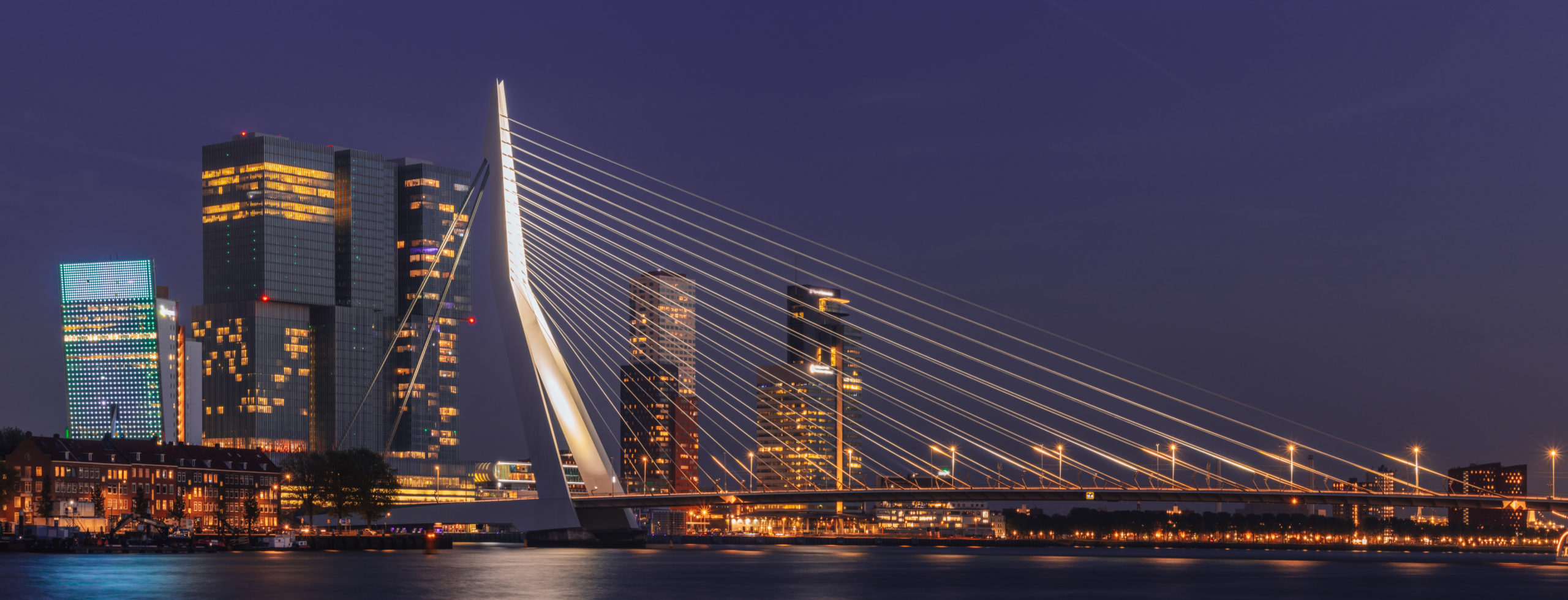 Rotterdam Erasmusbrug Nächtliche Skyline von Rotterdam mit der beleuchteten Erasmusbrücke über den Fluss