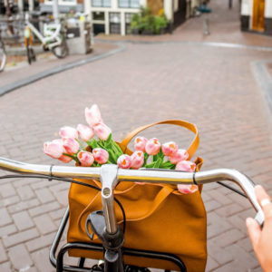 Mit dem Rad durch Amsterdam