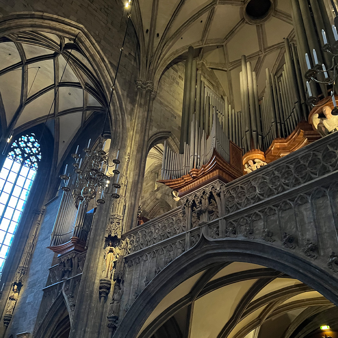 Die Orgel im Stephansdom in Wien