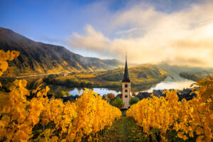 Die Moselschleife im Herbst