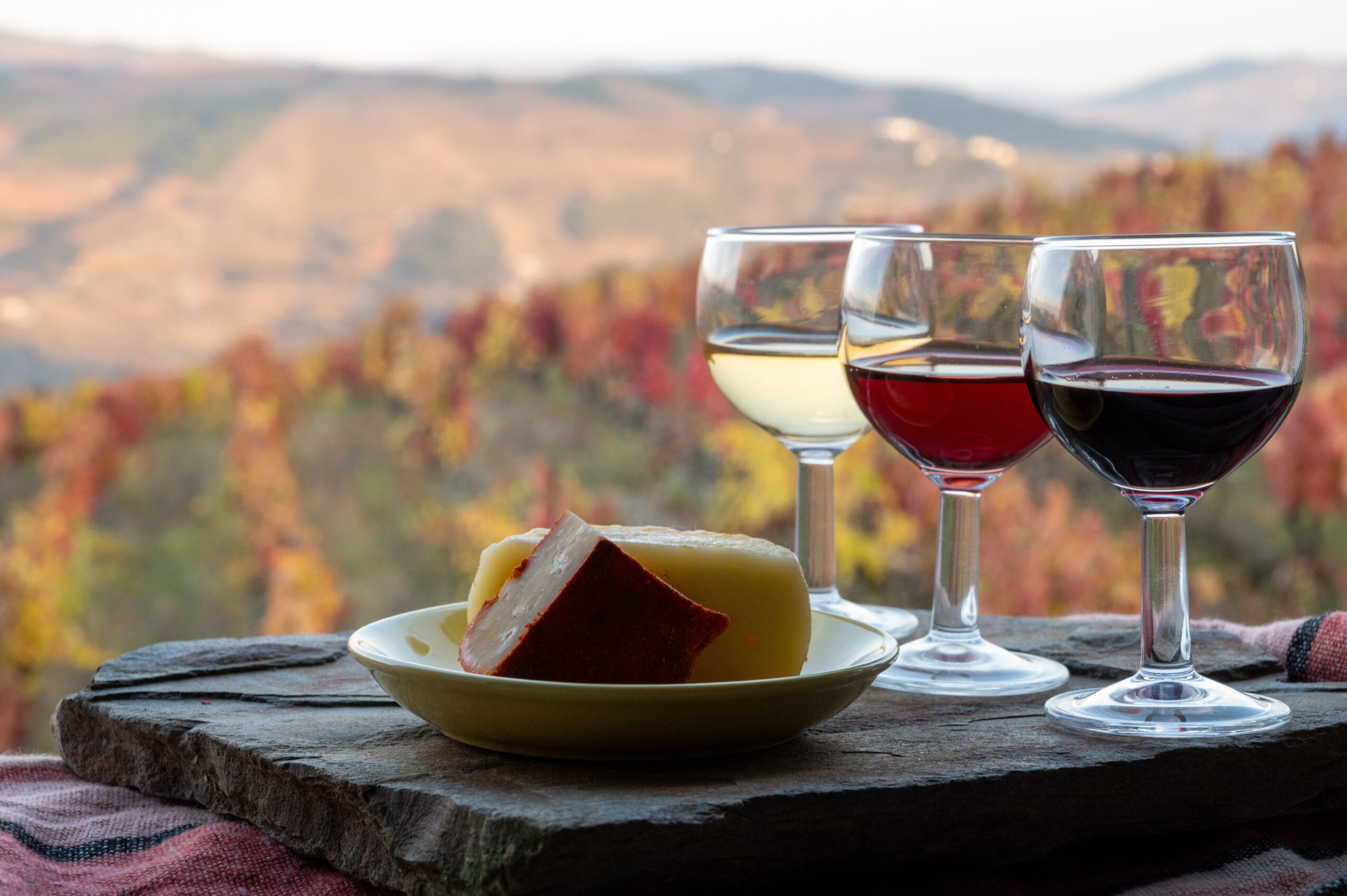 Drei Weingläser mit weißem, rosé und rotem Wein auf einem Steinbrett, davor ein Teller mit zwei Käsestücken, im Hintergrund herbstliche Weinberge