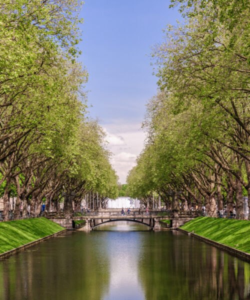 Rheinufer Düsseldorf Eine von Bäumen gesäumte Allee spiegelt sich am frühen Nachmittag im ruhigen Wasser des Stadtgrabens in Düsseldorf wider.