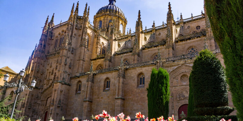 Gotische Kathedrale mit großer Kuppel, verzierten Türmen und blühenden Tulpen im Vordergrund bei blauem Himmel.

Gothic cathedral with a large dome, ornate towers, and blooming tulips in the foreground under a blue sky.